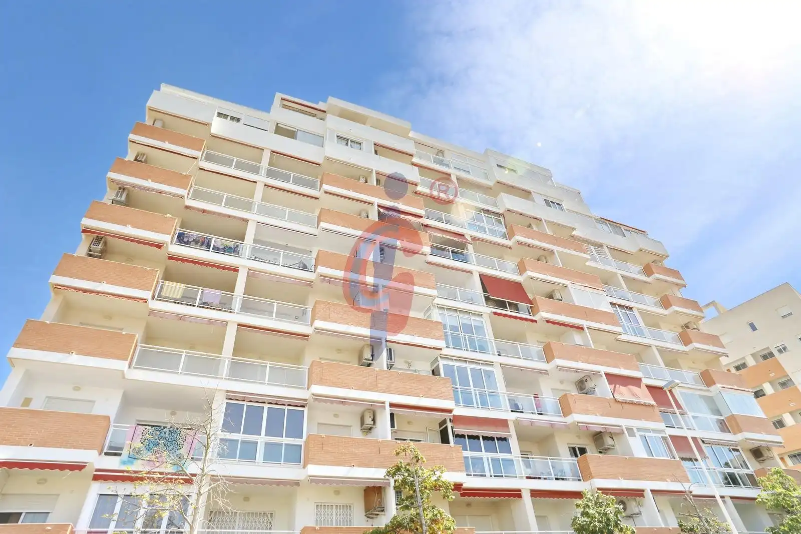 Vista exterior de Apartamento en venta en Guardamar del Segura con Jardín privado, Terraza y Trastero
