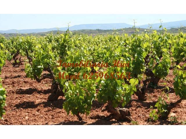 Finca rústica en Venta en Solana de los Barros