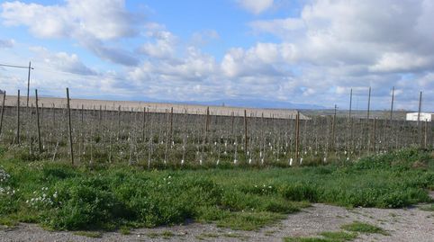 NAVE INDSUTRIAL  PLANTACIÓN DE FRUTALES, image 4