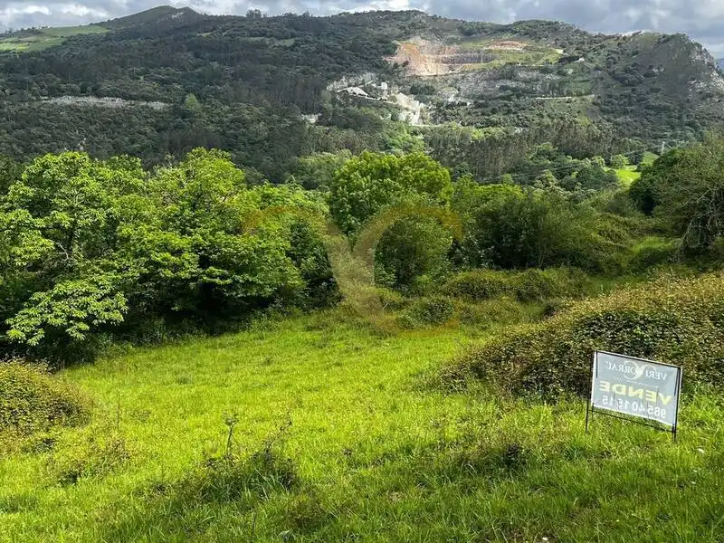Terreny rústic en venda a Andinas, imagen 4