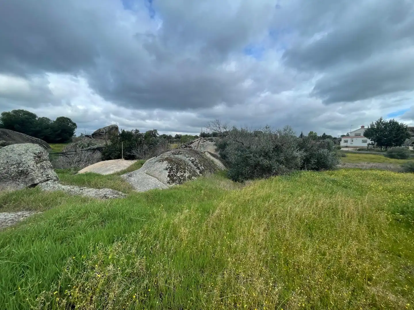 Terrenos y solares en venta en Malpartida de Cáceres, imagen 3