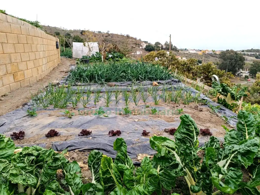 Jardí de Finca rústica en venda en Vélez-Málaga amb Aire condicionat, Jardí privat i Traster