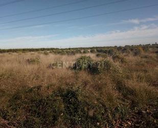 Finca rústica en venda en Alcàsser