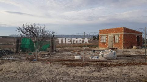 Terreno agrario en venta en Cieza
