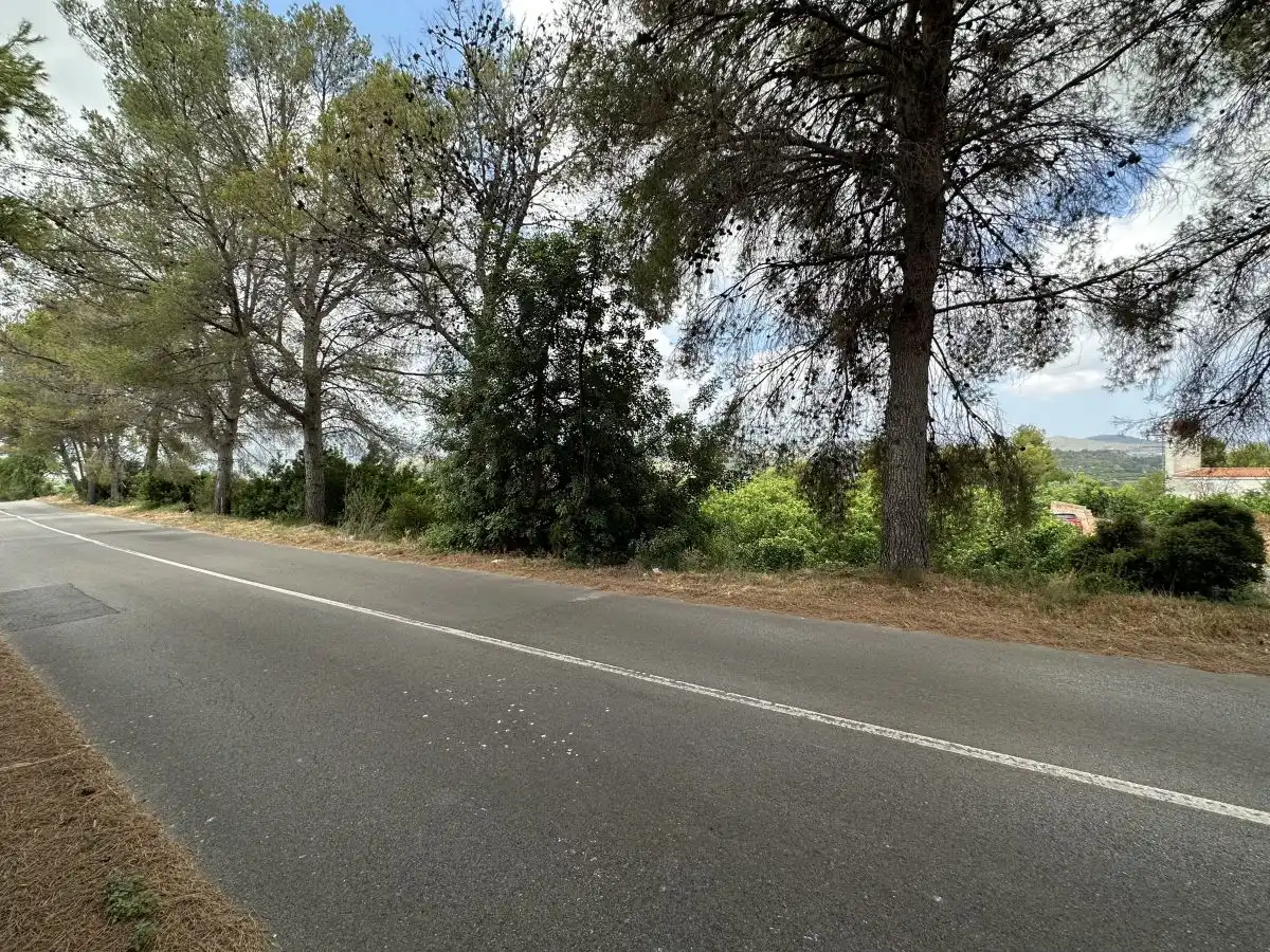 Rural land for sale in Sagunto ciudad, imagen 14