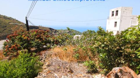 Foto 4 de Terreno en venta en Camino Lomo López Arriba, 37b, San Andrés y Sauces, Santa Cruz de Tenerife