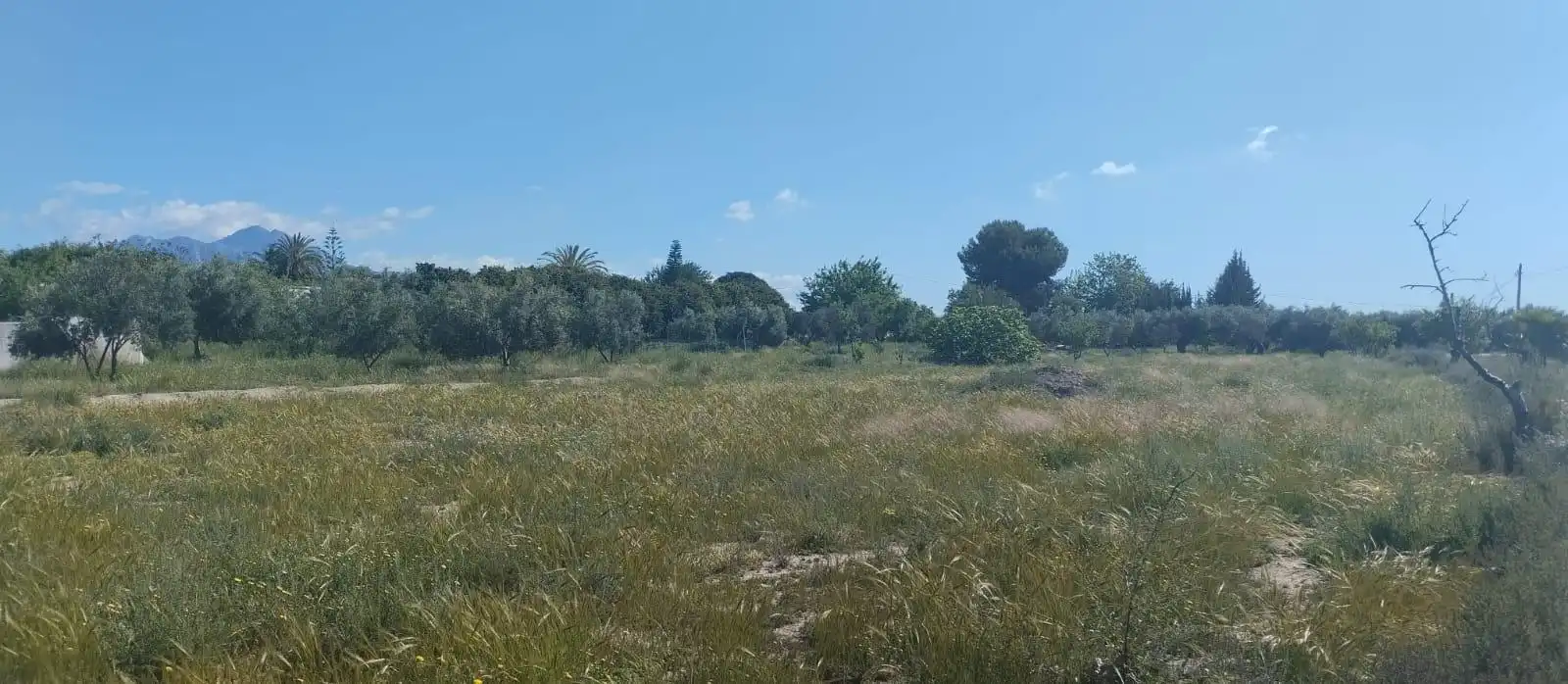 Terreno rustico in vendita a La Huerta, imagen 46