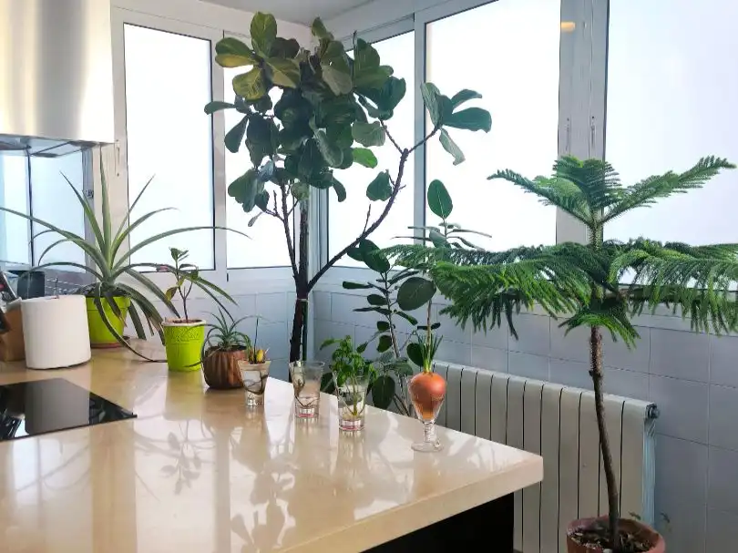 Ático en venta en Rius i taulet 23, imagen 16