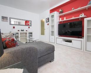 Sala d'estar de Apartament de lloguer en Torrevieja amb Terrassa