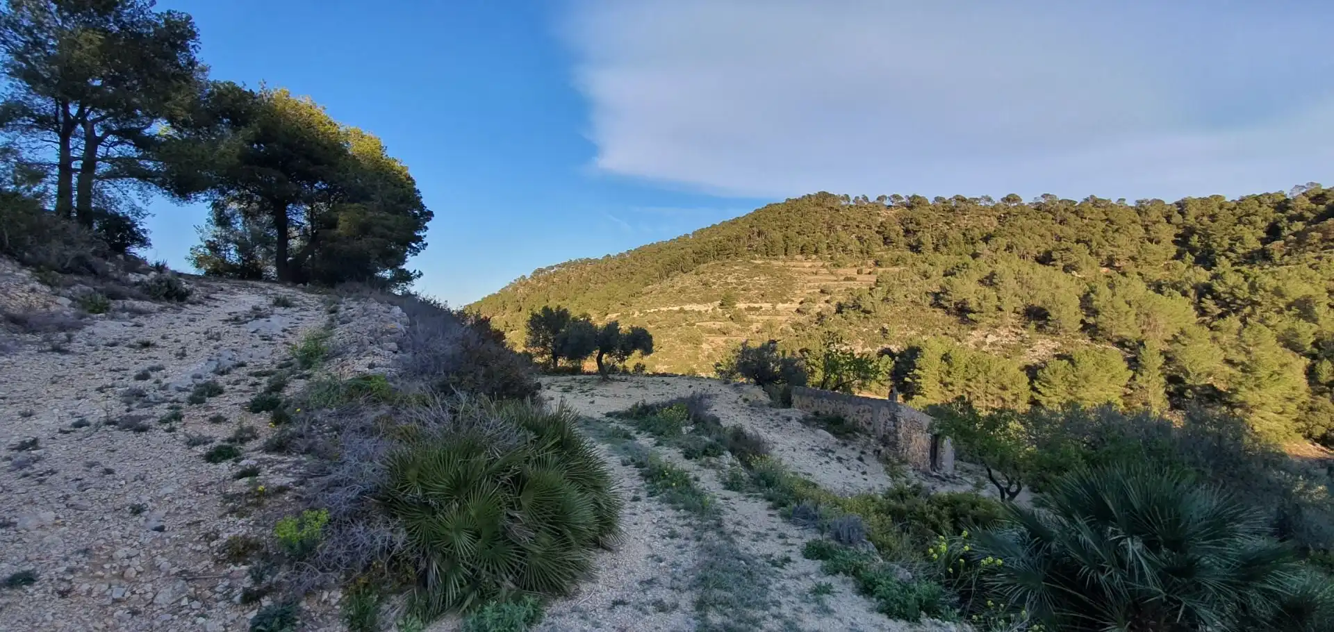 Casa o chalet en venta en Rasquera