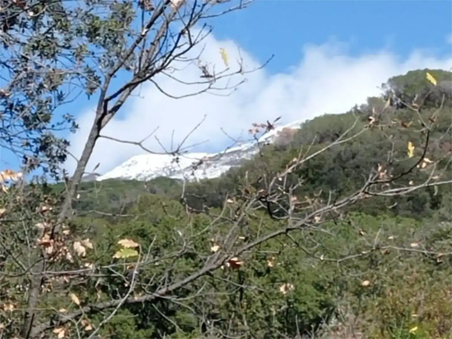 Vista exterior de Casa o chalet en venta en Fogars de Montclús con Amueblado