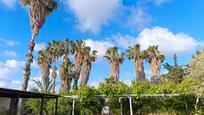 Vista exterior de Casa o xalet en venda en San Javier amb Jardí privat