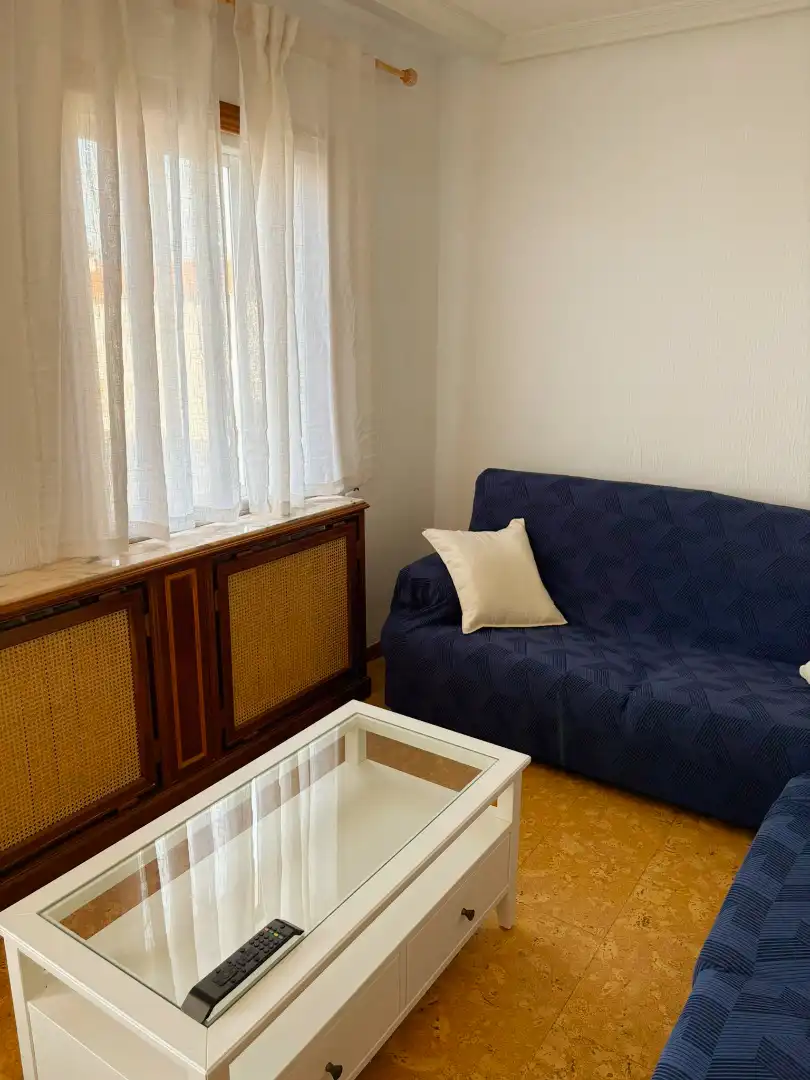 Living room of Flat for sale in Palencia  with Heating, Terrace and Furnished