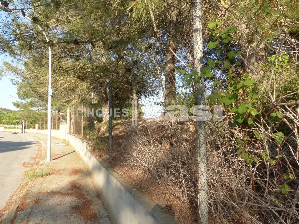 Residential land for sale in Sesoliveres - Pla de la Massa, imagen 4