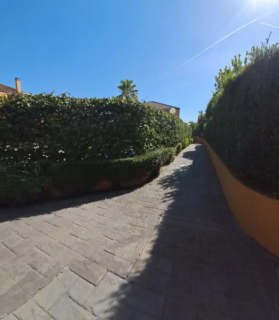 Wohnung mit Pool zum Verkauf in Santa Eufemia, imagen 15