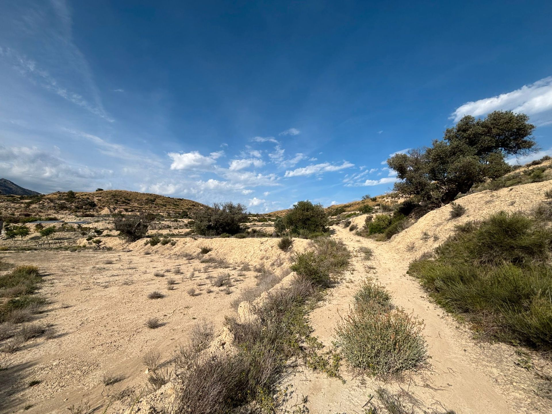 Grundstücke zum verkauf in Busot