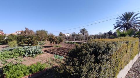 Foto 5 de Finca rústica en venda a El Carpio, Córdoba