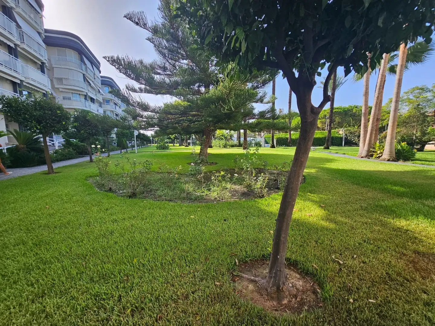 Piso con piscina en venta en Park Nord - Casona, imagen 2