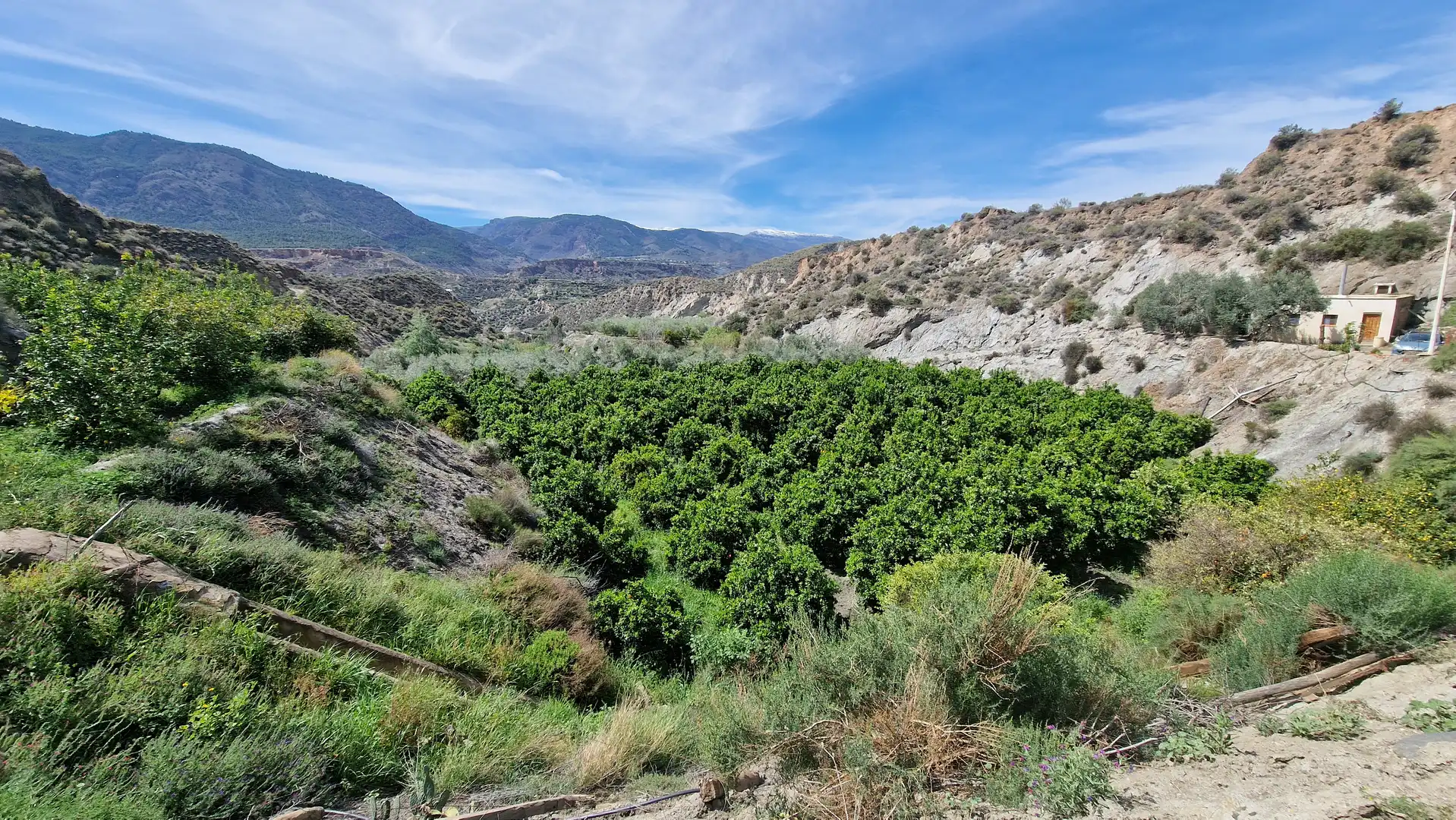 Vista exterior de Finca rústica en venda en Canjáyar amb Jardí privat i Moblat