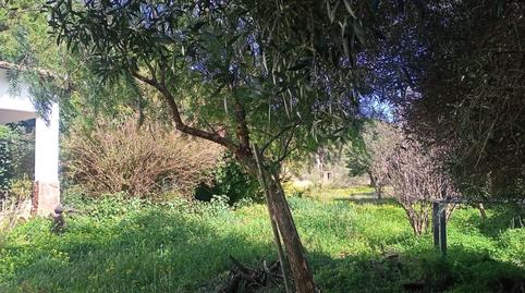 Photo 5 of House or chalet for sale in Castellonet de la Conquesta, Valencia