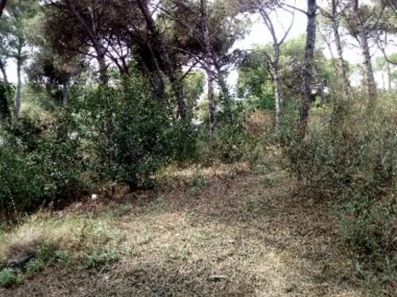 Rural land for sale in INDUSTRIAL CN II, POLIGONO 18, PARCELA 44, imagen 17