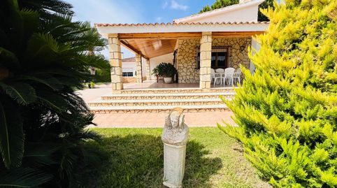 Chalet rústico en Elche, zona Perleta, imatge 4
