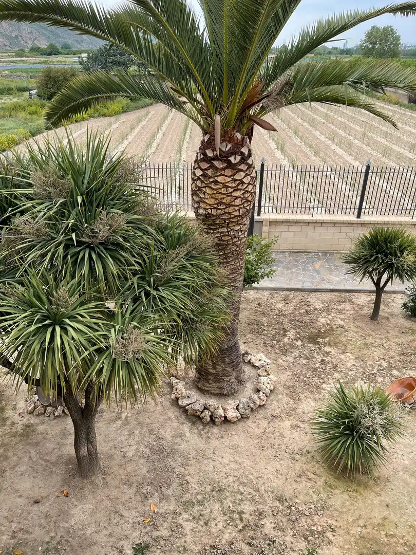Jardí de Casa o xalet en venda en Andosilla