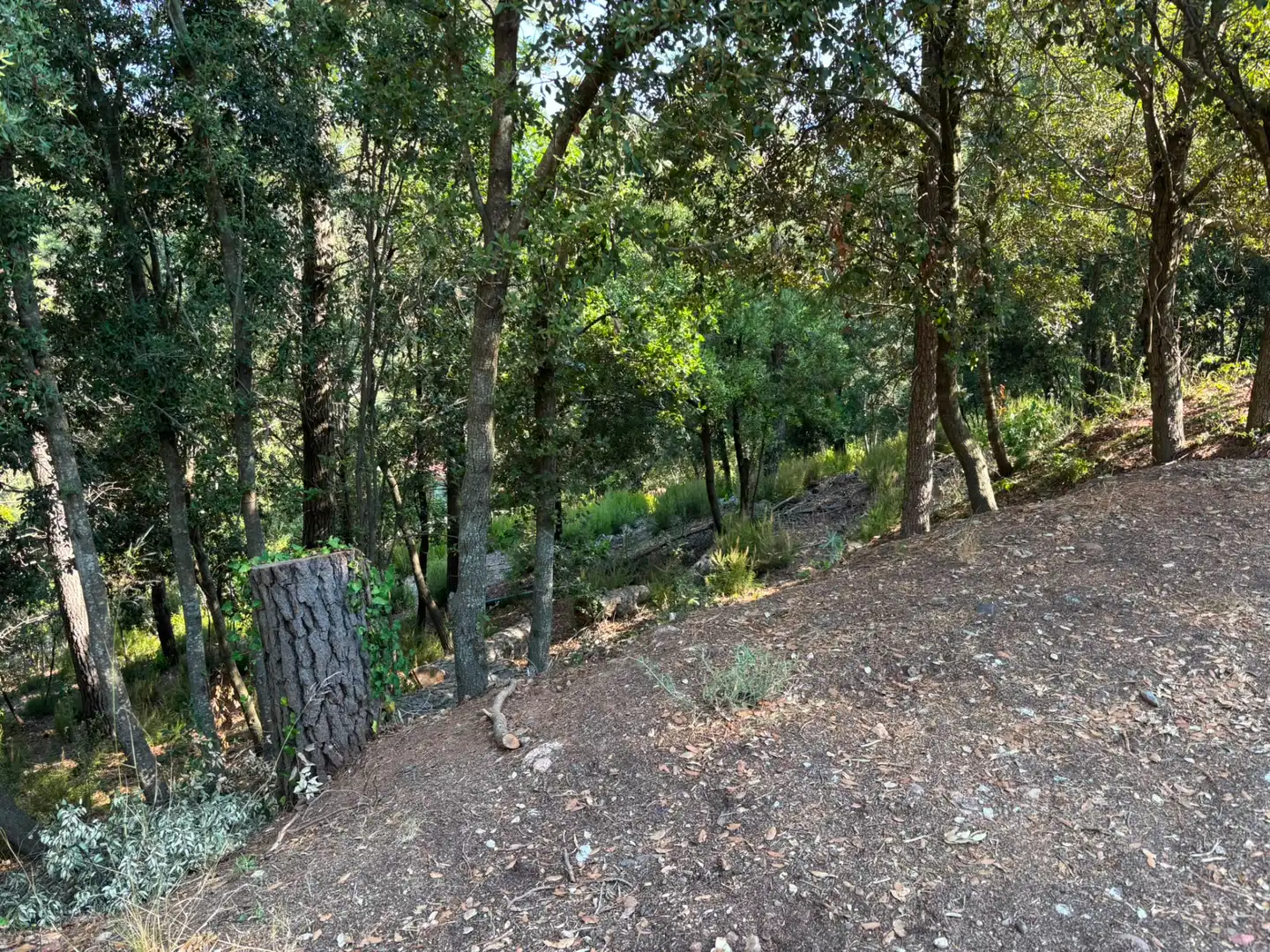 Terreno residencial en venta en Carrer del Gabi 18, imagen 7