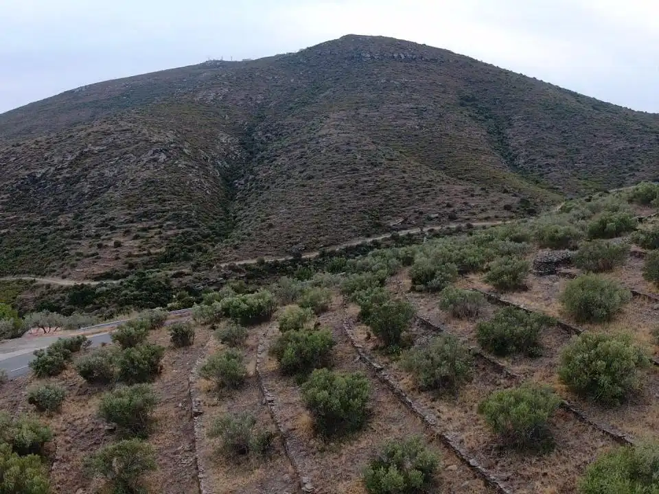 Lands and plots for sale in Territorio Surés, imagen 15