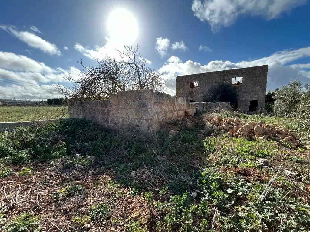 Terreno rústico en venta en Sa Pobla, imagen 2