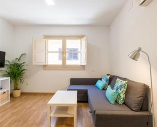 Living room of Apartment to rent in Málaga Capital  with Air Conditioner, Furnished and Washing machine