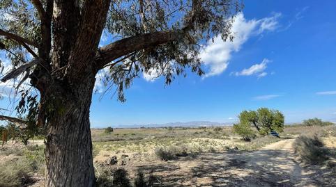 Photo 5 of Land for sale in La Marina, Elche / Elx