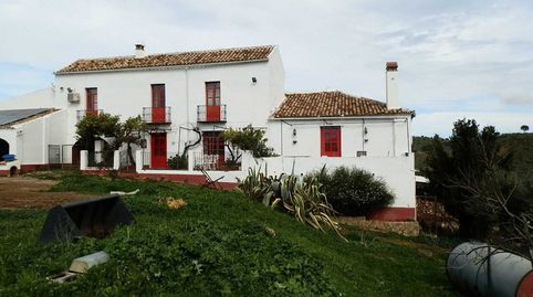 finca en venta 380 has. ganadera labor en Algodonales (Cadiz), immagine 5