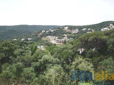 Terreno residencial en venta en Carrer Eucaliptus