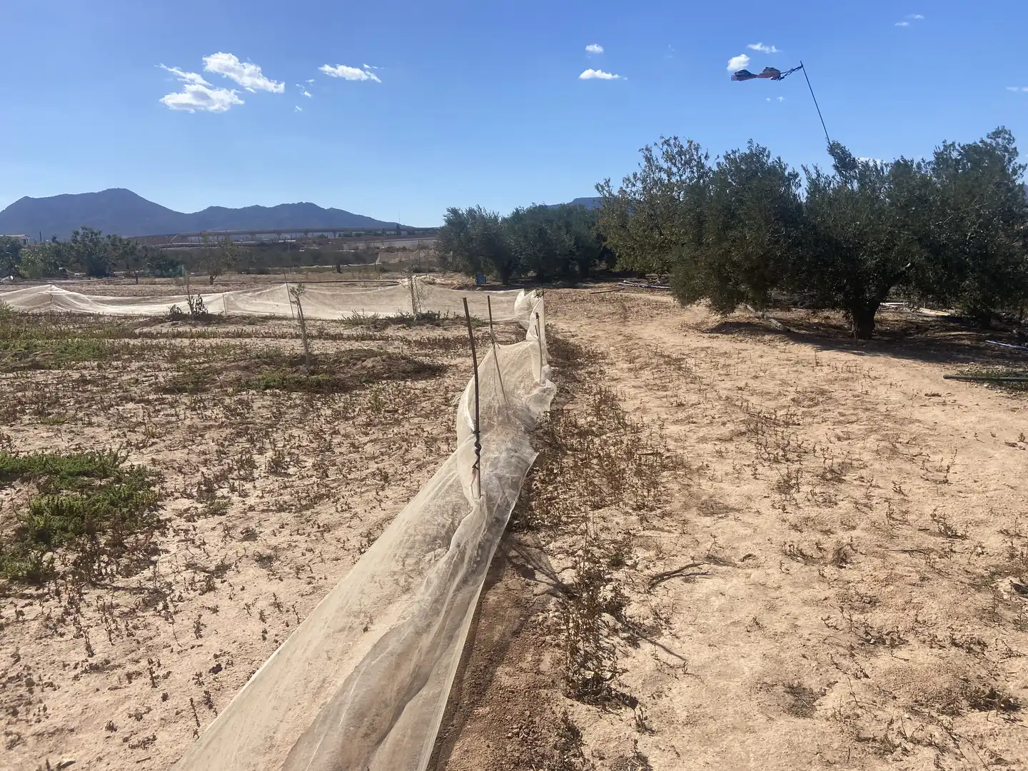 Land for sale in Cartagena