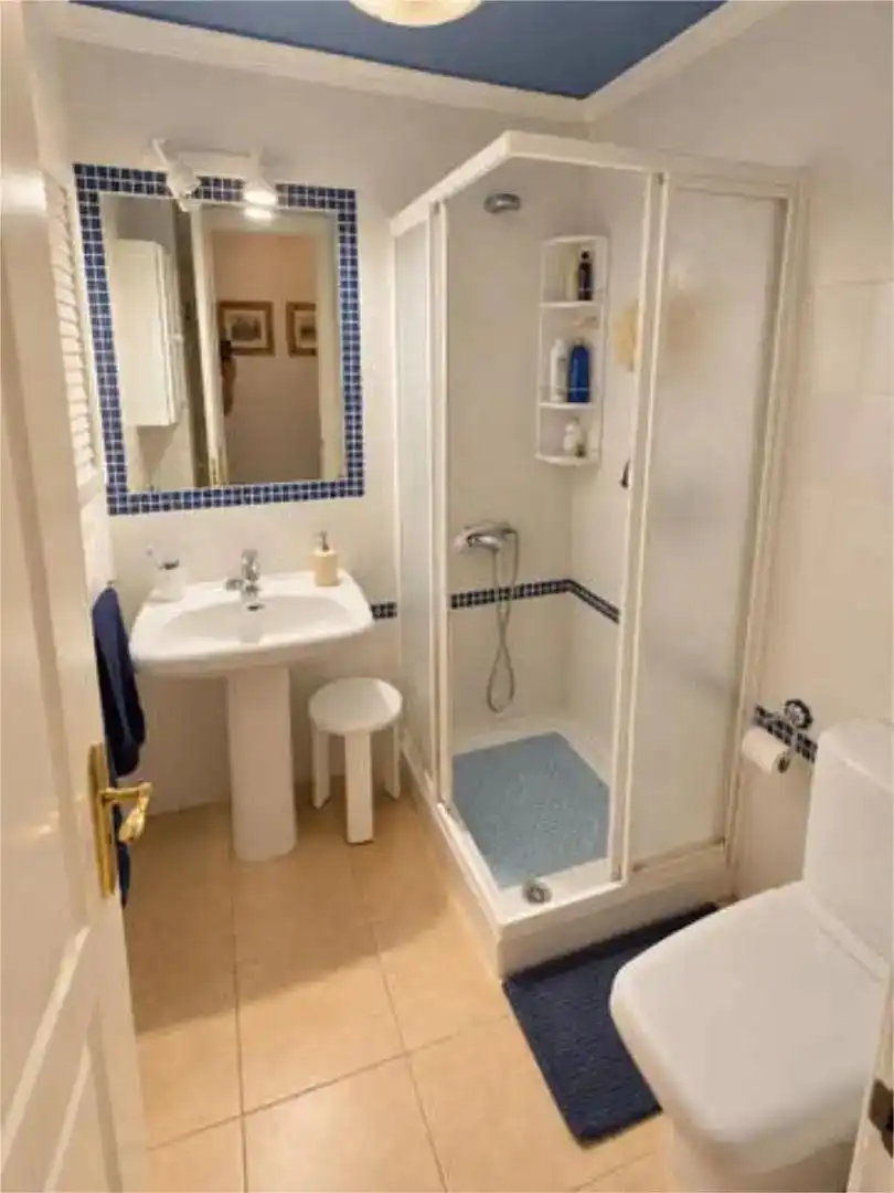 Flat with lift for sale in Pintor Antonio Fernández Sevilla, imagen 8