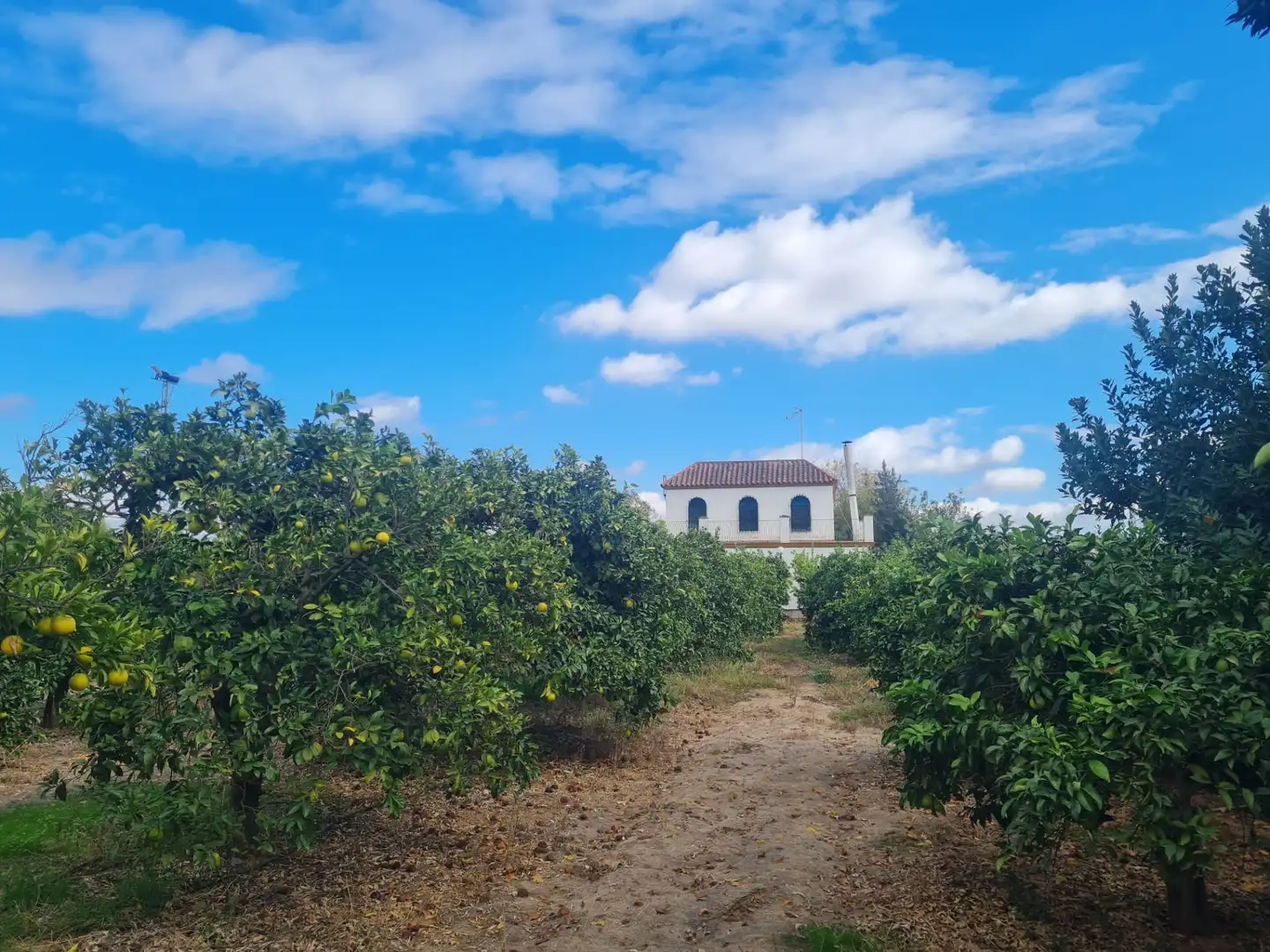 Country house zum Verkauf in Cantillana mit Privatgarten, Terrasse und Schwimmbad