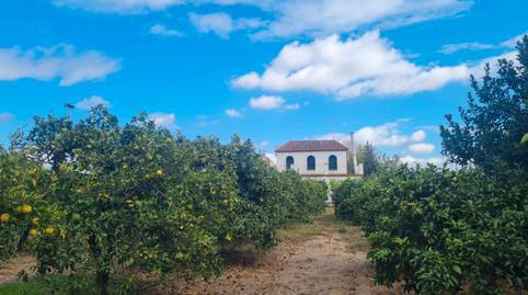 Foto 3 de Finca rústica en venda a Extrarradio Diseminados, 63, Cantillana, Sevilla