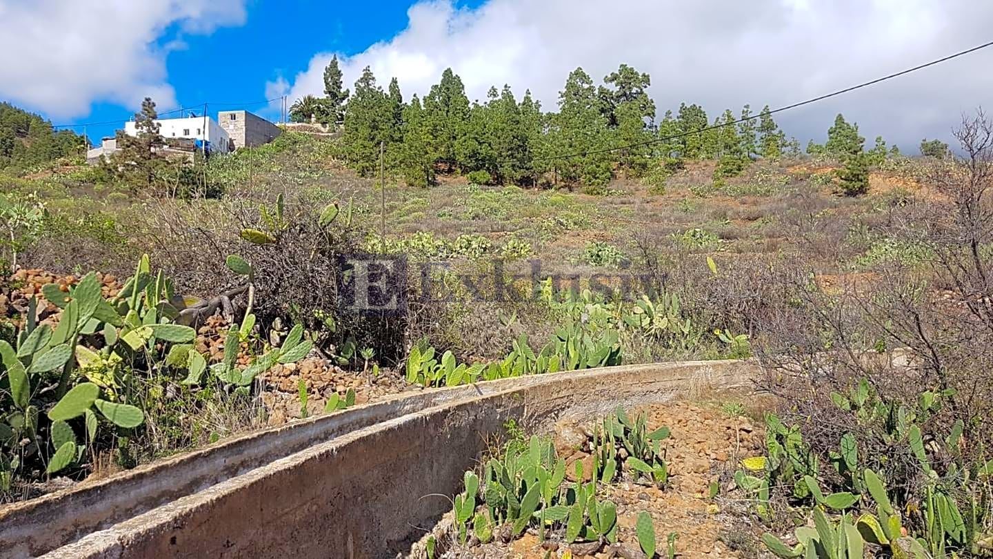 Finca rústica en venda en Granadilla de Abona amb Jardí privat
