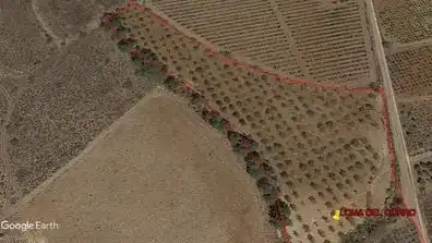 Terreno rustico in vendita a Laujar de Andarax, imagen 2