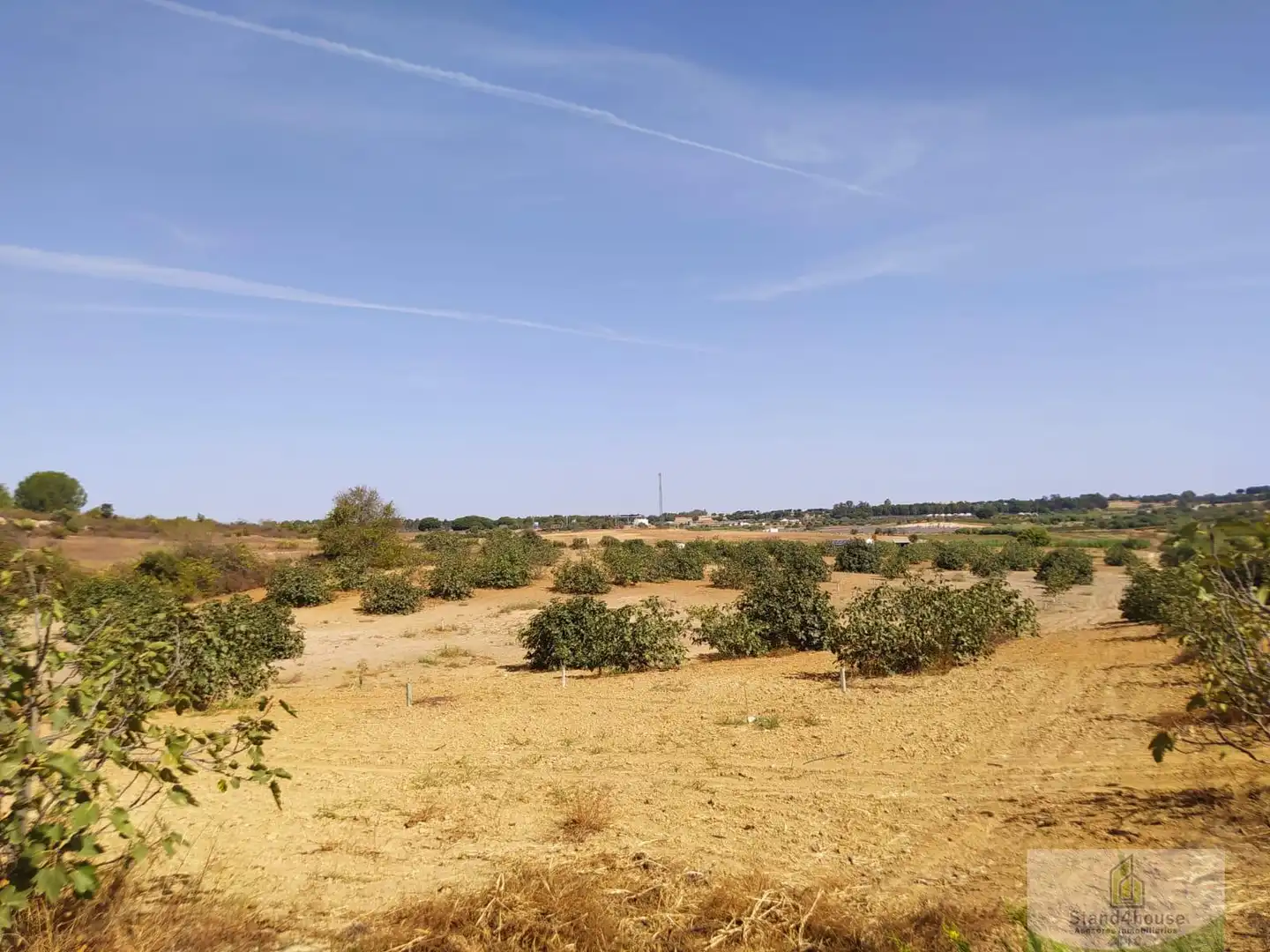 Finca rústica en venda a Villarrasa