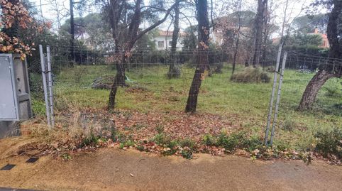MAGNÍFICA PARCELA EN LA URBANIZACIÓN LA CANYERA, immagine 4