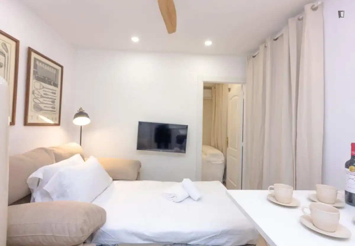 Apartamento en alquiler en Chamberí, imagen 4