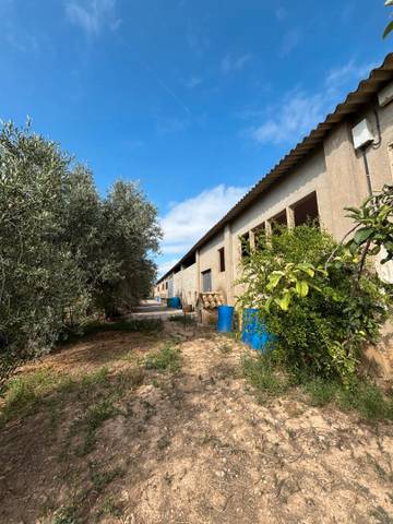 Terreno en Venta en Carrer Colomé, 12 en Ascó