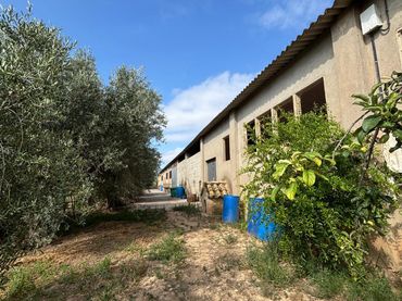 Terreno rustico in vendita a Carrer Colomé 12