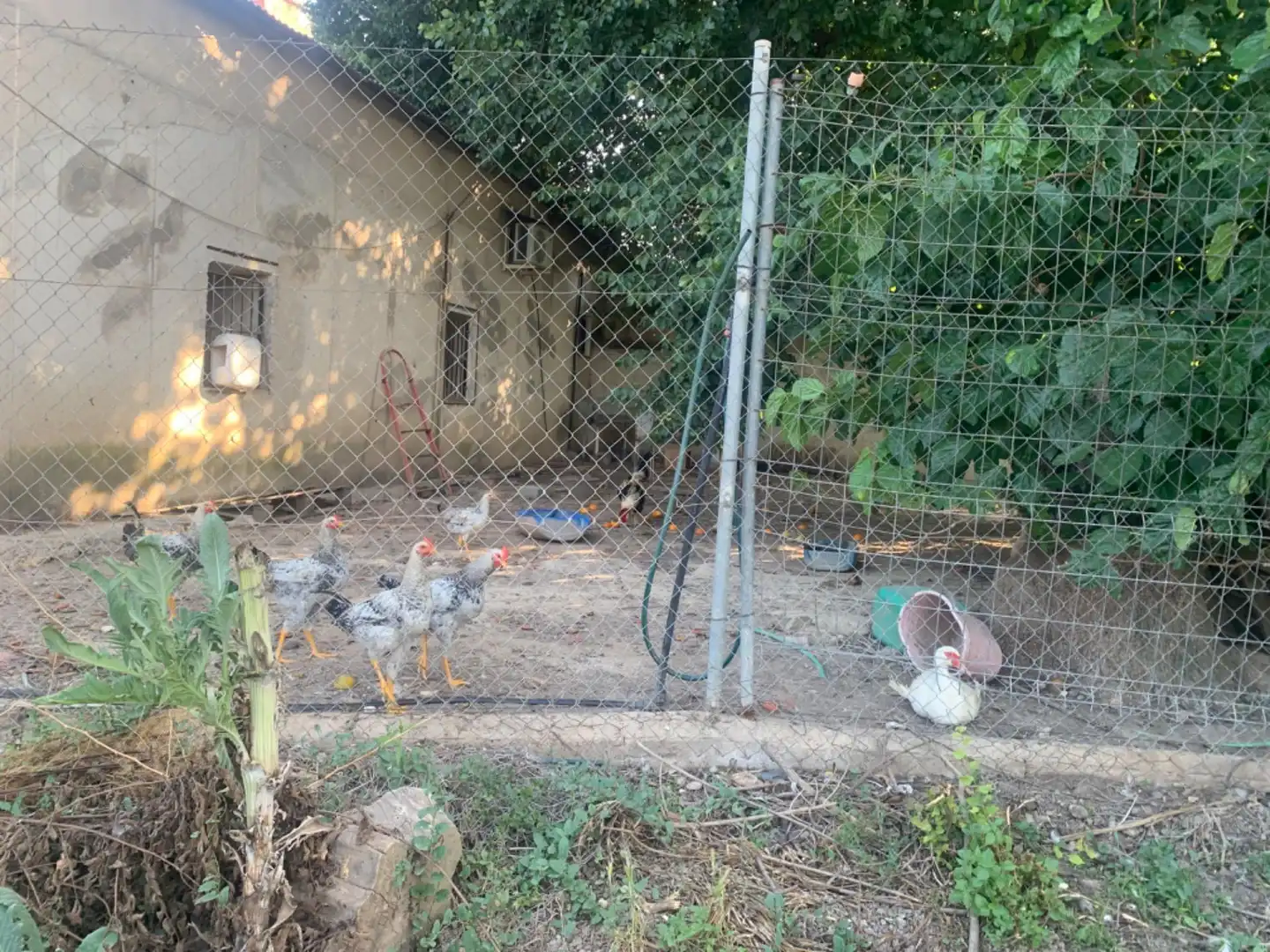 Finca rústica en venda a Alquerías