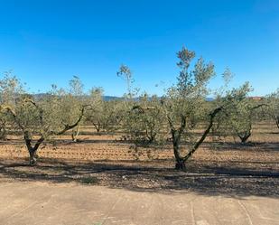 Finca rústica en venda en Constantí amb Aire condicionat, Traster i Moblat