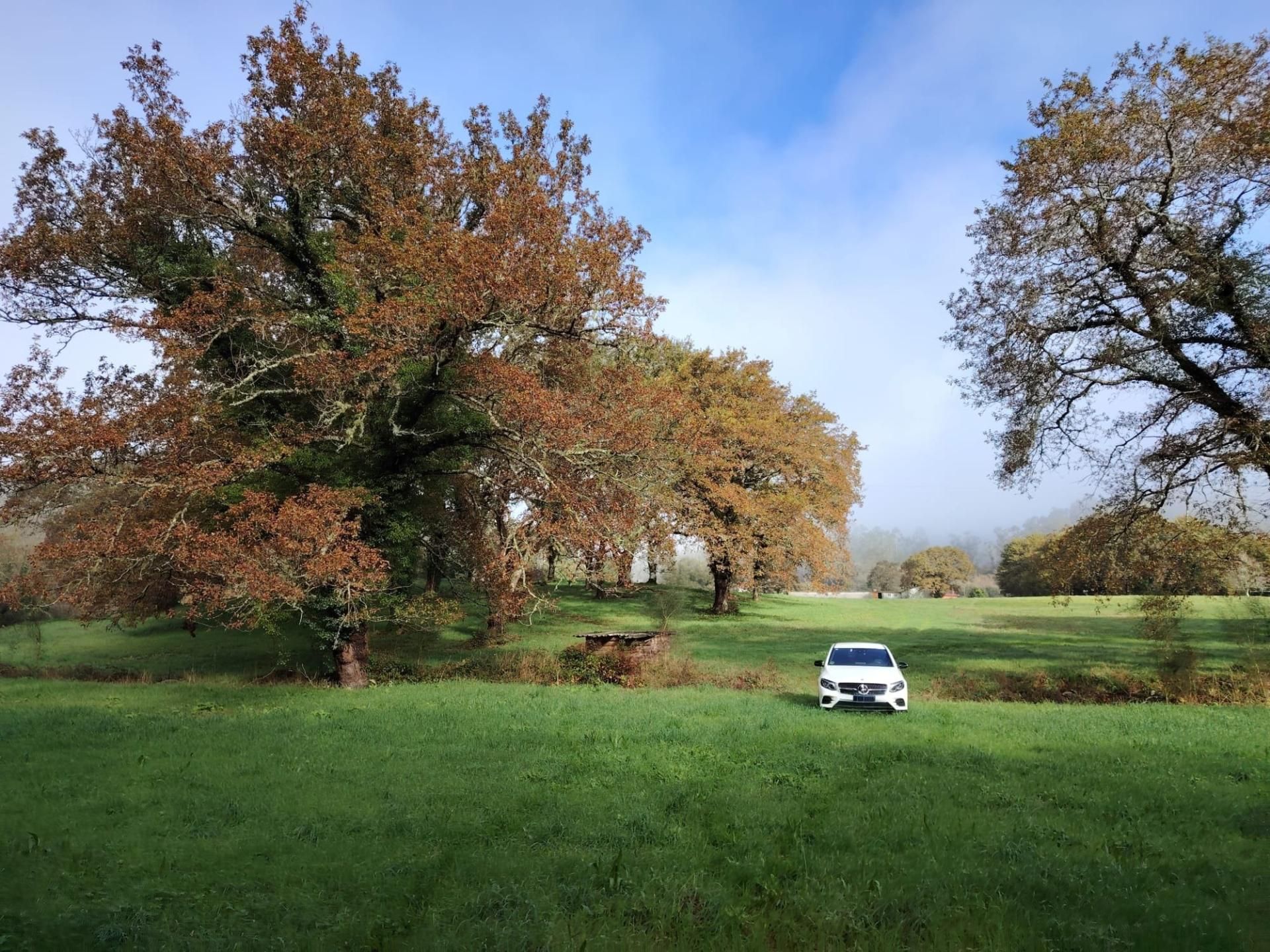 Parking of Country house for sale in Negreira