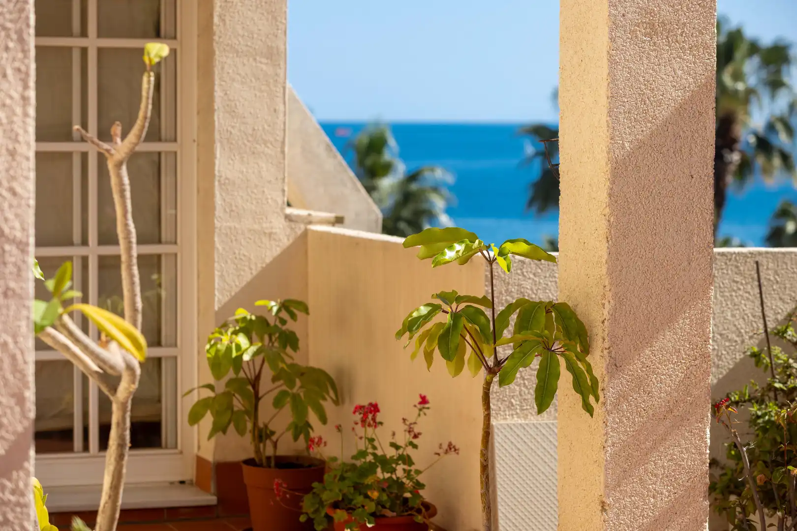Ático con ascensor en venta en Paseo Marítimo Pablo Ruiz Picasso, imagen 43