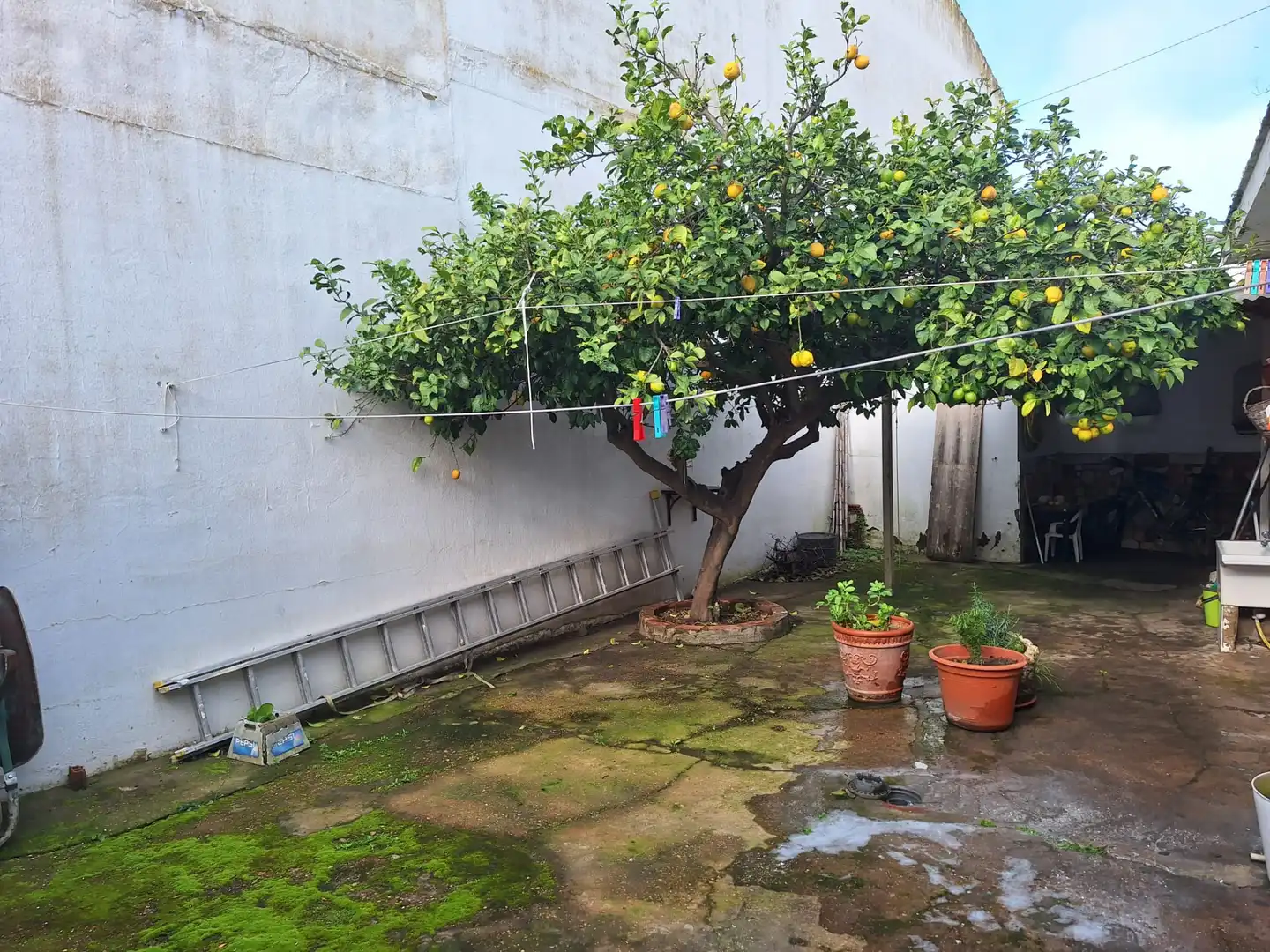 Casa o chalet en venta en Calle Juan Carlos I, Núcleo urbano